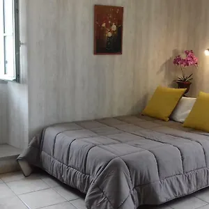 Le Petit St Jacques Appartement Le Puy-en-Velay